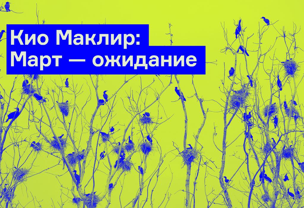 Отрывок из книги «Птицы, искусство, жизнь: год наблюдений»